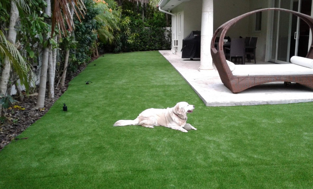 Pet-safe artificial grass with drainage for dogs in Winston-Salem, NC